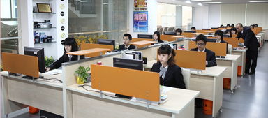 猛狮科技 以信息技术咨询服务打造零距离世界级环保工厂