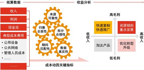 对标一流内审转型 聚焦企业信息科技服务业务审计，强化数智手段赋能信息技术咨询服务