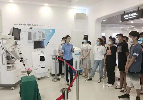 市人社局精准服务促进更高质量更充分就业——以信息技术咨询服务为引领